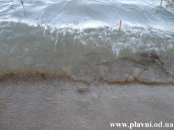Valuri mici spala nisipul la Barta (Plavni). De petites vagues se laver le sable de Barta (Plavni).