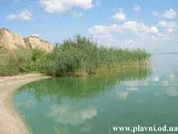 Barta (Plavni) Peizaj de pe malul lacului Ialpug. Bir göl Ialpug Manzara.