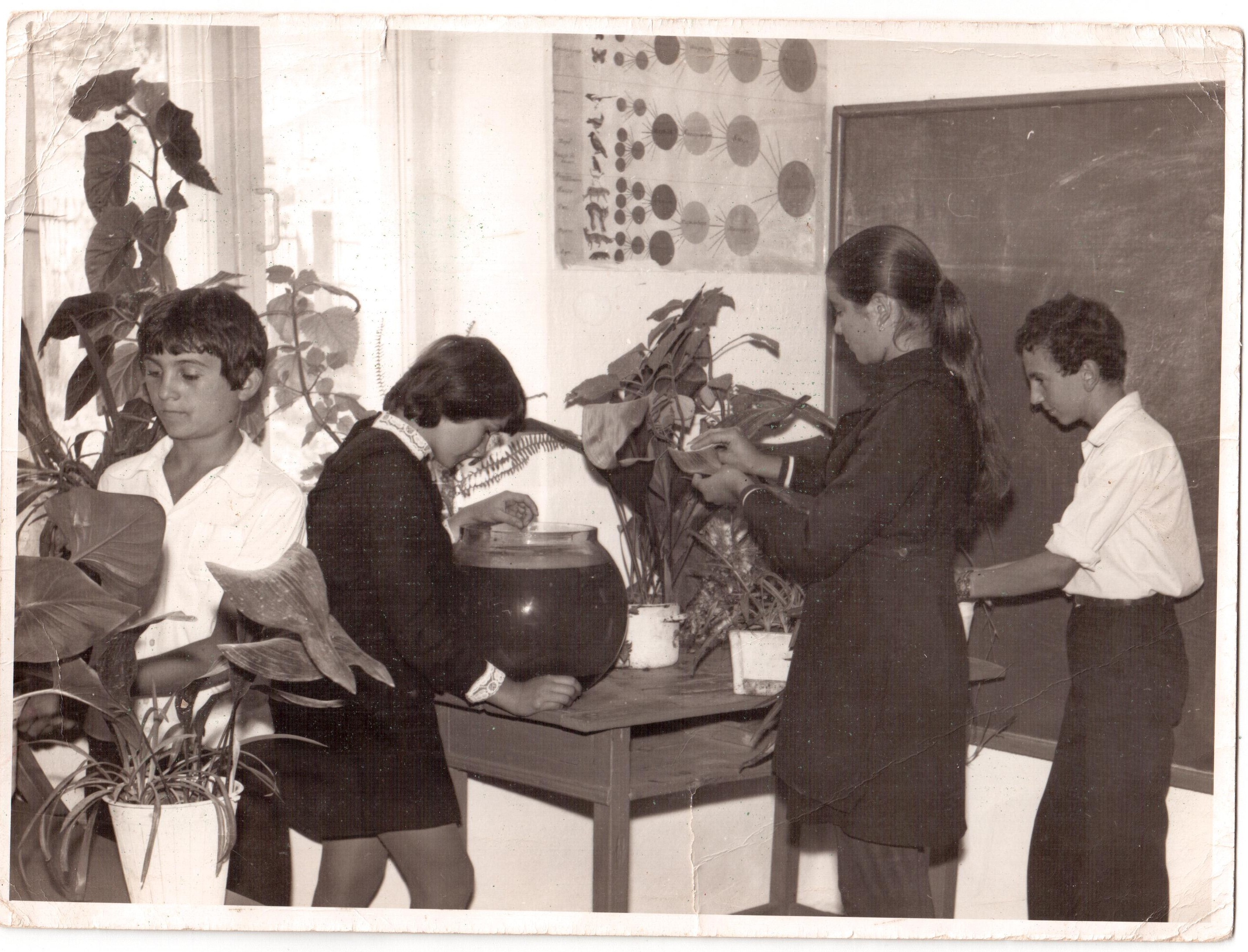 Догляд за квітами у кабінеті біології. 1980 рік. с.Плавні