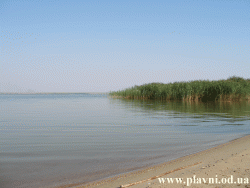 Barta (Plavni) Plaja, apa lina si stuf. Beach, smooth water and reeds.